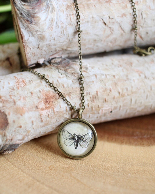 Necklace with a pendant featuring an insect design, placed on wooden logs.