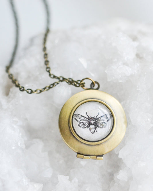 Brass locket with bee design on a white stone surface