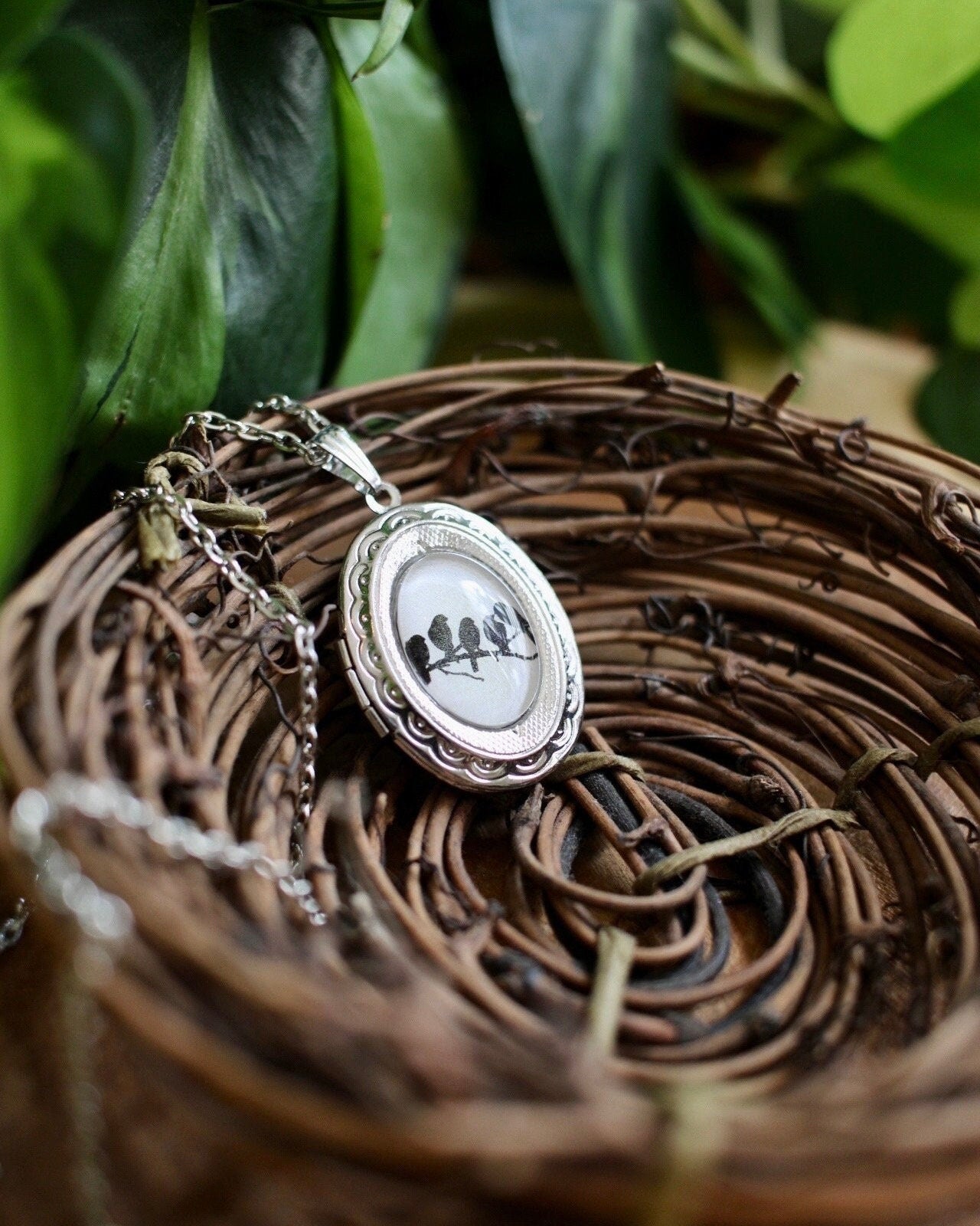 Bird necklace with a locket on a birds nest with green leaves in the background