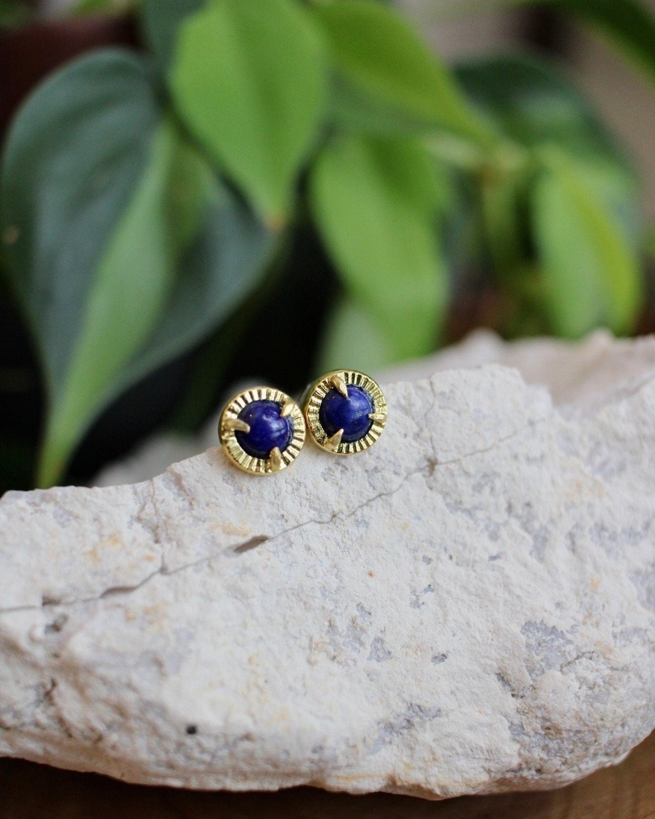 Gold earrings with blue stones on a rock with a plant in the background