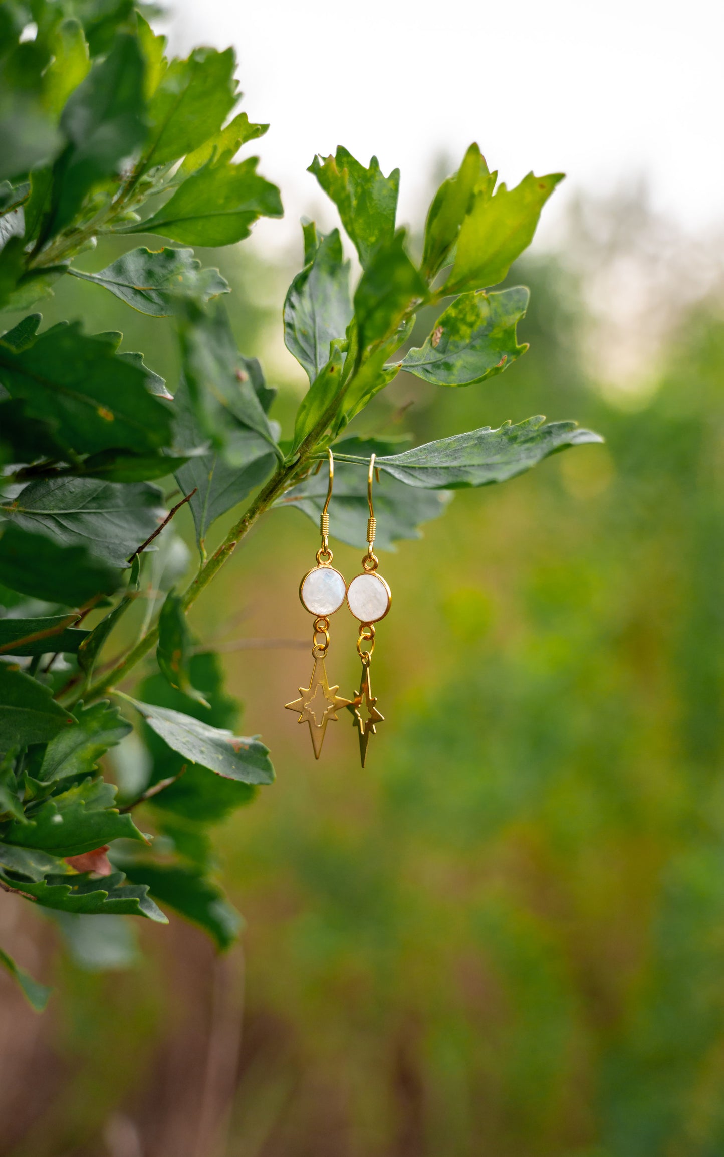 Rainbow Moonstone Polaris Dangle Earrings