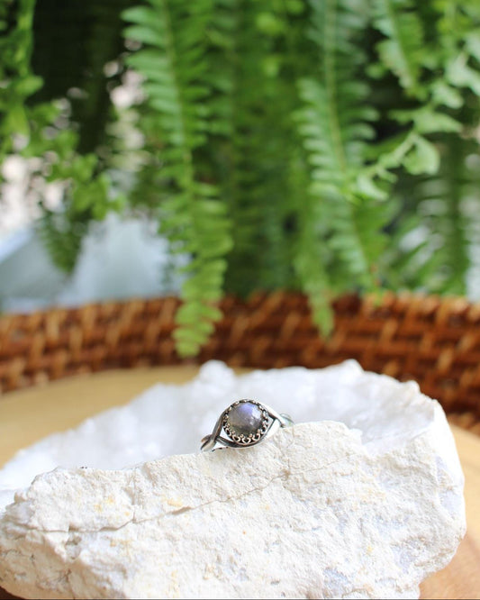 Ring on a rock with a blurred green leafy background