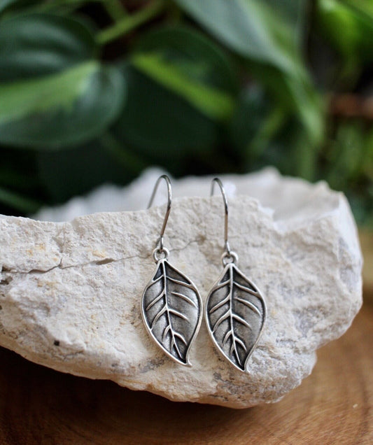 Silver leaf earrings on a rock with a green leafy background