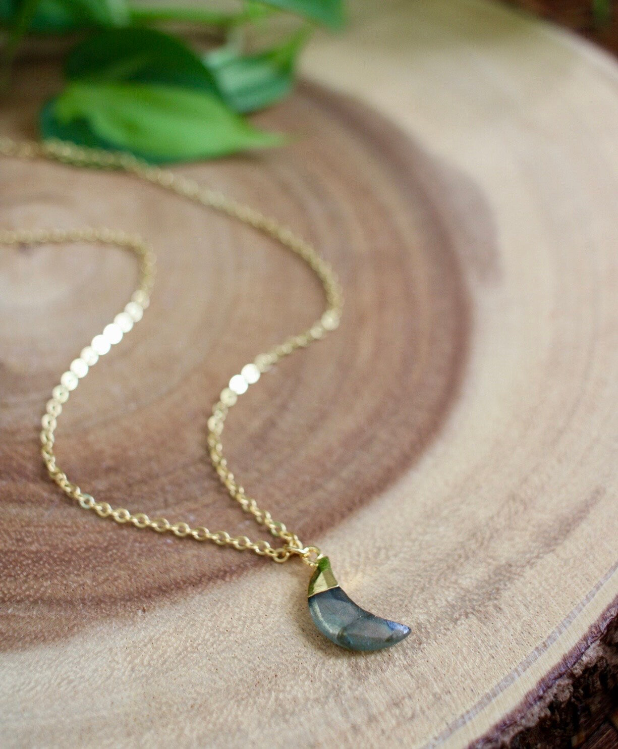 Labradorite Crystal Moon Necklace