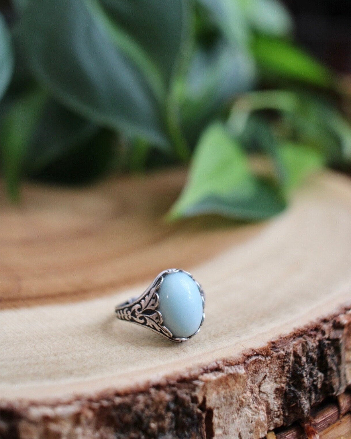 Silver ring with a blue stone on a wooden surface with green leaves in the background